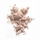 Maskë Payot Créme N°2, 20 g