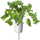 Kapsula me bimë Click and Grow Green Kale, për Smart Garden, pako me 3 copë, jeshile