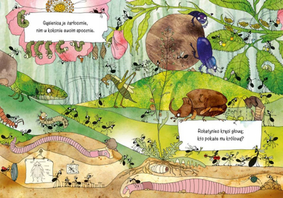 Libër për kalamaj Media Rodzina I Will Tell You Mommy What Ants Do, faqe të forta, ilustrime me ngjyra