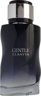 Parfum Reyane Tradition Gentle Elsatys EDP, 100 ml, për burra