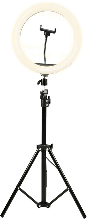 Dritë rrethore Denver RLT-1201, 12", tripod 210cm