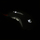 Mouse Gaming White Shark GM-1601 Spartacus, i zi