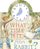 What Time Is it Peter Rabbit? Beatrix Potter - Beatrix Potter