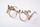 Set ndërtimi druri Mr. PlayWood Glasses Fair, 14 x 15 cm, 3 copë, ngjyrë dru natyral