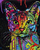 Set pikturimi me numra Norimpex Cat Color Patterns, kanavacë 50x40cm, mace shumëngjyrëshe, sfond i zi