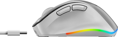 Maus Genius Ergo 9000S Pro, 2400DPI, i argjend