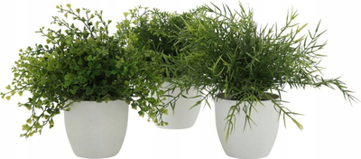 bimë artificiale Boltze Decor, vazo qeramike Ø15cm, gjethe jeshile, vazo e bardhë