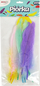 Pupla dekorative Brewis Goose Feathers, 15-20cm, ngjyra pastel