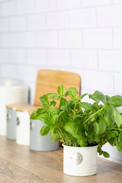 Сад за зачини Typhoon Living Herb Planter, 700ml, метал, крем