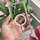 Fatrolle per Samsung S23 . UNIMIKS