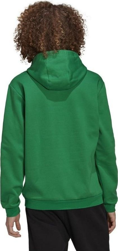 Bluzë me kapuç Adidas Entrada 22 Sweat Hoodie M HI2141, për meshkuj, e gjelbër