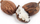 Нерафинирано ши путер караите Unrefined Pure Shea Butter Karite, 200g, за кожа