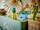 Set LEGO Happy Plants 10349, set dekorativ ndërtimi, shumëngjyrësh