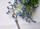 Orë dore JVD Sunday Rose Darling VIOLET DREAM SUN-D03