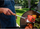 Shpatull BBQ Traeger me rosewood, çelik inox, dorezë druri, kafe