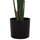 Bimë dekorative sintetike HM4739 Strelitzia, 172cm, me vazo 18cm, në vazo të zezë