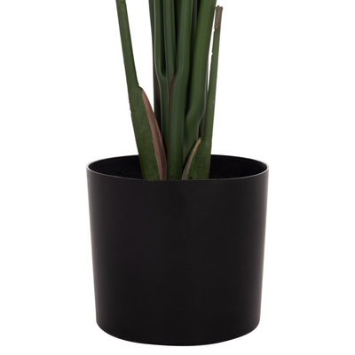 Bimë dekorative sintetike HM4739 Strelitzia, 172cm, me vazo 18cm, në vazo të zezë