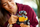 Set ndërtimi LEGO Disney Pixar Wall E dhe Eve 43279, për fëmijë, shumëngjyrësh