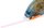 Ngjitës në shirit Q-Connect, 6.5 mm x 8.5 m