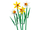 Set LEGO Icons Daffodils 40747, 216 pjesë, lule dekorative, shumëngjyrëshe