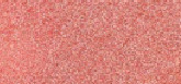 Ruzh i lëngshëm L'Oréal Paris, 11 ml, 625 Gold Pink