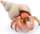 Figurë lodër PAPO Marine Life Hermit Crab, PVC, multikolor