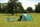Tendë për kamping Coleman Kobuk Vallley 4 Plus