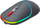 Maus Canyon, wireless, i zi