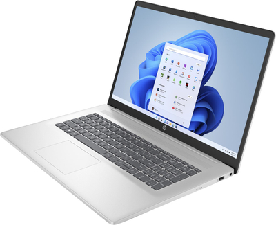 Laptop HP, 17.3", AMD Ryzen 3, 8 GB RAM, 512 GB SSD, i argjendtë