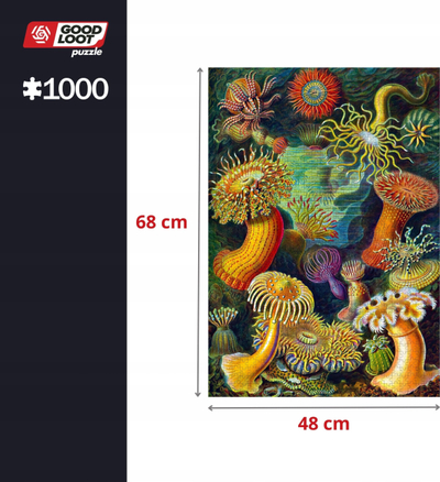 Пазл Ernst Haeckel Sea Creatures, 1000 делови, многубоен