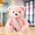 Lodër pelushi Plush Mascot Teddy Bear, 35cm, me shall, rozë