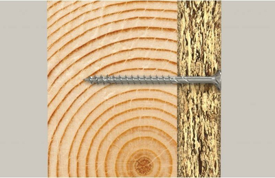 Vida druri Fischer Power-Fast II 670364, 5x100mm, çelik i galvanizum, 100 copë