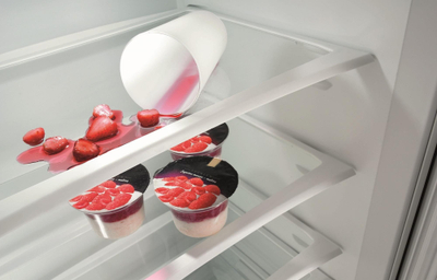 Frigorifer kombinim Gorenje RK4182PW4, 269L, klasë energjie F, i bardhë