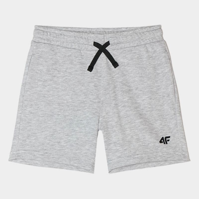 Спортски шорцеви 4F 4FJWSS24TSHOM272, Regular Fit, сиви