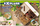 Set kreativ SES Insect Hotel, ndërtim hotel druri për insekte, edukativ për fëmijë