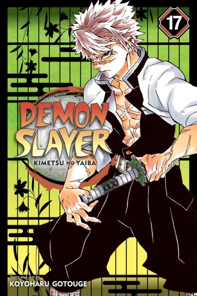 Demon Slayer Kimetsu No Yaiba Vol 17 - Koyoharu Gotouge