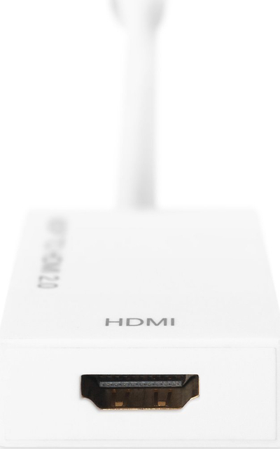 Kabllo adapter Digitus DB-340416-002-W, DisplayPort në HDMI, 0.2m, i bardhë