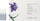 Serum hidratues për flokë Simply Zen Age for Revitalization, 12x5ml