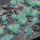 Tufa bari dekorative Gamers Grass Special Tufts, 6 mm, Alien Turquoise Wild