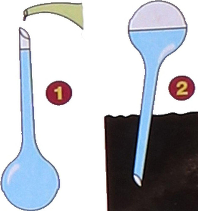 Shishe ujitje për bimë Kinzo, 250 ml, transparente