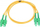 Kabllo patchcord ExtraLink SC/APC SC/APC, SM G.652D, duplex 3m, e verdhë
