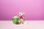 Losion Bubble T Cosmetics Bath Milk, me çokollatë të nxehtë, 480 ml
