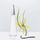 Eau de Parfum Issey Miyake L'Eau D'Issey Intense