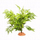 Dekor terrariumi Terra Natura Desert Plant, bimë artificiale 40cm, me bazë, jeshile
