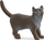 Figurinë lodër mace Schleich Farm World British Shorthair Cat, plastike, gri