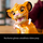 Lodër ndërtimi LEGO Disney The Lion King Young Simba 43247, set koleksionues, për të rritur, shumëngjyrëshe