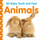 Baby Touch and Feel Animals - Dk