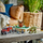 Set lodrash LEGO Jurassic World Dinosaur Missions Stegosaurus Discovery, me dinosaur, shumëngjyrësh