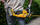 Gërshërë krasitje shkurresh DEWALT DCMHT573N XR FlexVolt, 54V, pa bateri
