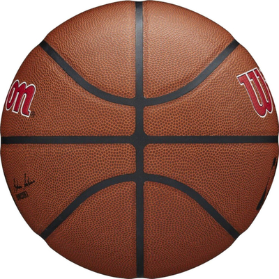 Top basketbolli Wilson Team Alliance Toronto Raptors WTB3100XBTOR, lëkurë kompozite, madhësi standarde, kafe